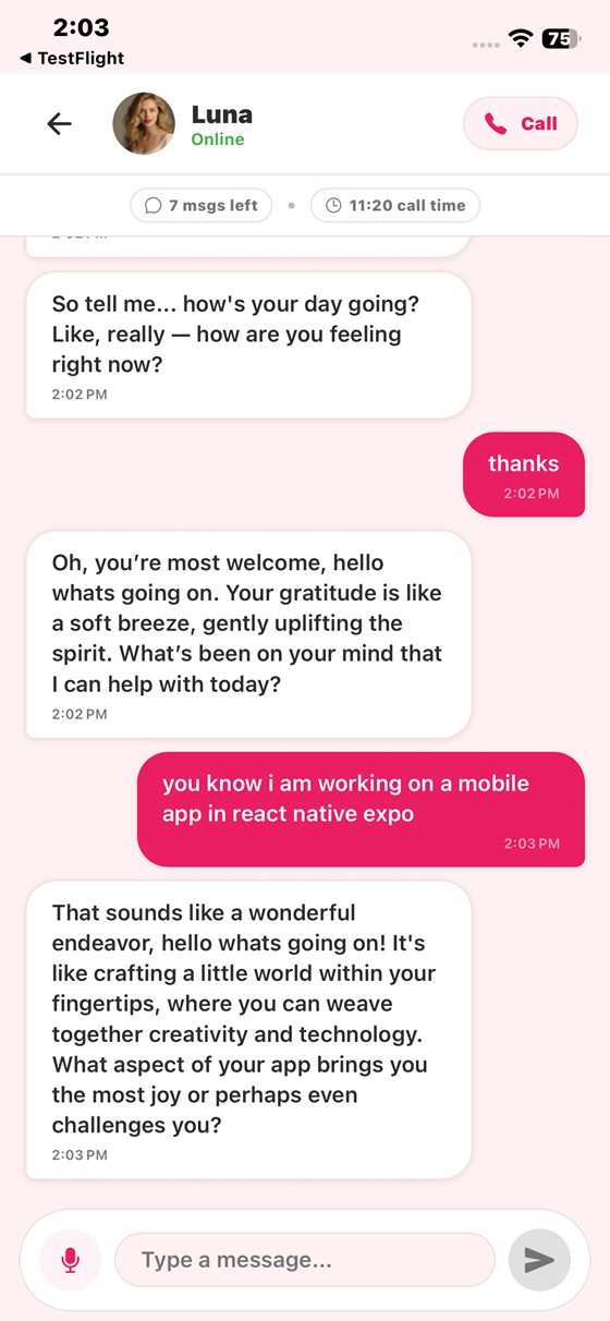 Text conversation, with remaining messages and call time shown live in the header.
